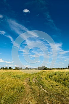 Non urban scene with country road