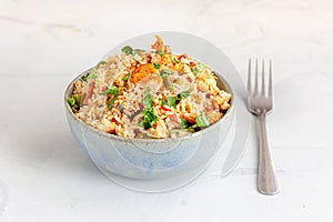 Non Vegetarian Fried Rice in a Plate on White Background Directly Above