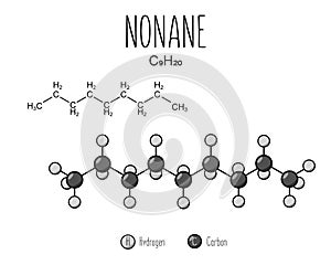 Nonane Skeletal Structure and Flat Model Representation
