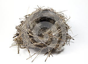 Bird nest