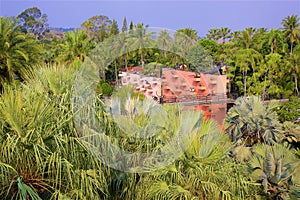 Nong nooch park in Pattaya, Thailand