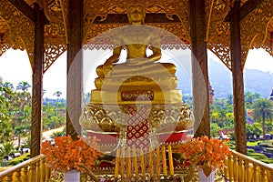 Nong nooch park in Pattaya, Thailand