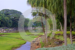 Nong nooch park in Pattaya, Thailand