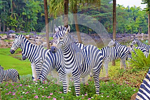 Nong nooch park in Pattaya, Thailand