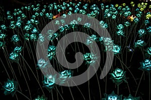 Nong Prajak Public Park Udon Thani, Thailand bokeh LED flowers colorful illuminated plastic optical fibers in dark back