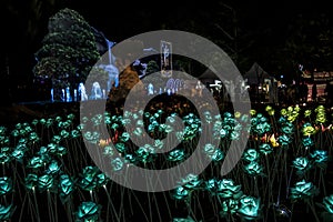 Nong Prajak Public Park Udon Thani, Thailand bokeh LED flowers colorful illuminated plastic optical fibers in dark back