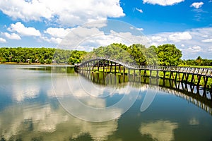 Nong Yai Pond and Wooden Bridge in Chumphon, Thailand photo