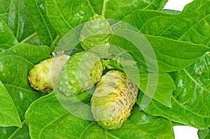 Noni