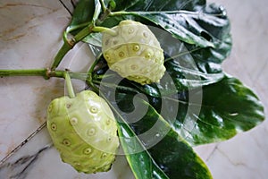Noni fruit with leaf on table, Close up shot