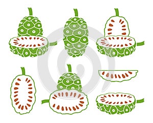 Noni fruit logo. Isolated noni fruit on white background