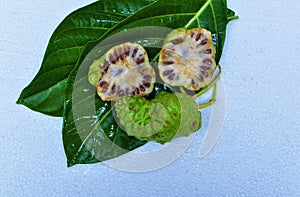 Noni Fruit Morinda citrifolia