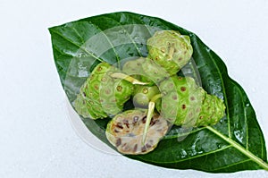 Noni Fruit Morinda citrifolia