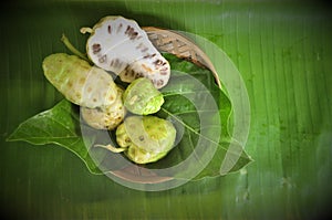 Noni Fruit Morinda citrifolia