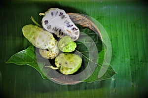 Noni Fruit Morinda citrifolia