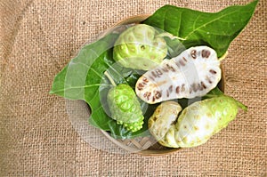 Noni Fruit Morinda citrifolia