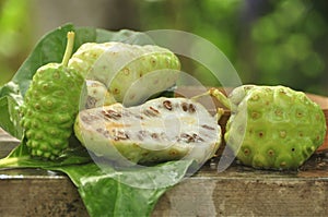 Noni Fruit Morinda citrifolia