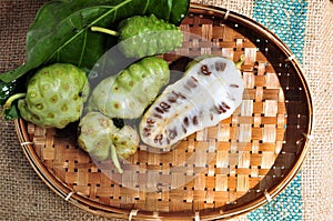 Noni Fruit Morinda citrifolia