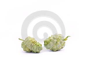 Noni Fruit, Morinda citrifolia