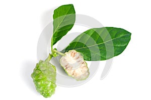Noni or Morinda Citrifolia fruit isolated on white background herb concept