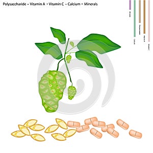 Noni or Morinda Citrifolia with Vitamin A, C and Calcium