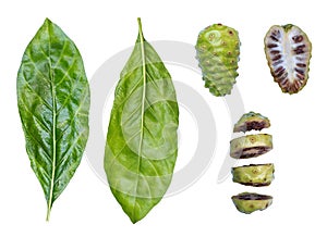 Nonifruit ,Noni leaf ,Noni sliced