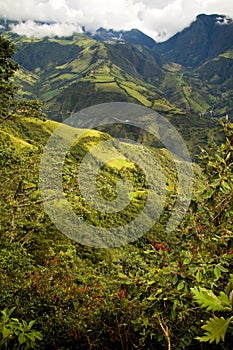 Nono, Ecuador cloud forest
