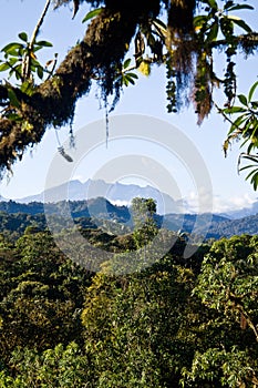 Nono, Ecuador cloud forest