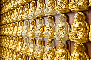 Nonthaburi, Thailand- March 08, 2021 : Many golden buddha statues arrange by row and column at the wall in the temple in Leng Noei