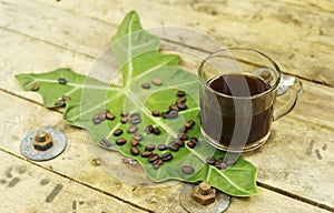 Nontoxic black coffee and coffee bean on elephant ear leaf