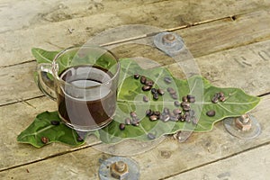 Nontoxic black coffee and coffee bean on elephant ear leaf photo