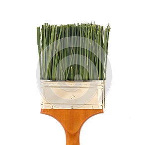 Nontoxic paint concept