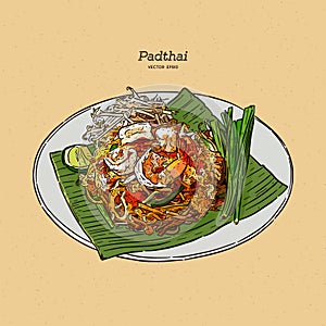 Noodle padthai food thailand in the dish. hand draw sketch vector