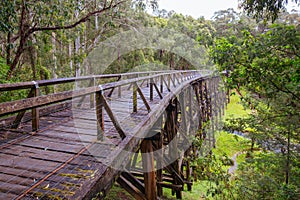 Noojee Trestle Rail Bridge in Victoria Australia