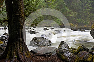 Nooksack River.