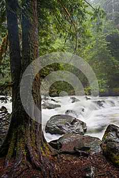 Nooksack River.