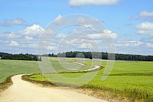 Noon in June. Expanses. Road sign `winding road`