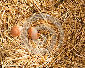 Noon. Two fresh eggs are in the sunlight in the strow