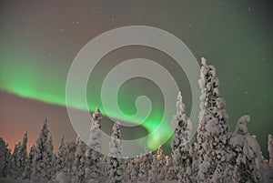 noorderlicht (aurora borealis)