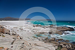 Noordhoek Beach near Cape Town photo