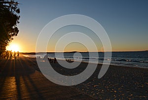 Noosa boardwalk at sunset