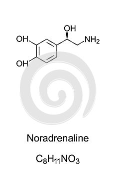 Noradrenaline molecule, norepinephrine skeletal formula