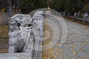 Norbulingka Institute in Lhasa city