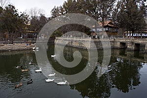 Norbulingka Institute in Lhasa city