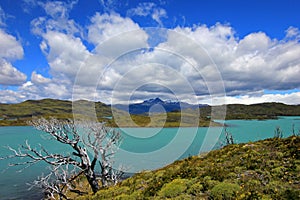 Nordenskjold lake, Torres Del Paine National Park, Patagonia, Chile