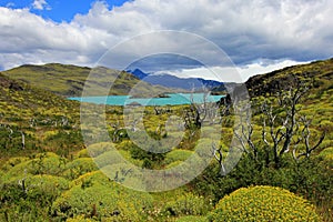 Nordenskjold lake, Torres Del Paine National Park, Patagonia, Chile