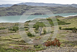 Nordenskjold lake in the Torres del Paine park