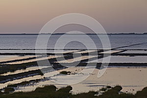 Norderfriedrichskoog (Germany) - Sunset over the North Sea