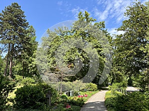 Nordheim cemetery or cemetery of Nordheim oder Friedhof Nordheim