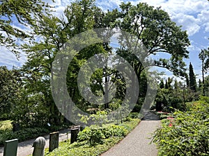 Nordheim cemetery or cemetery of Nordheim oder Friedhof Nordheim