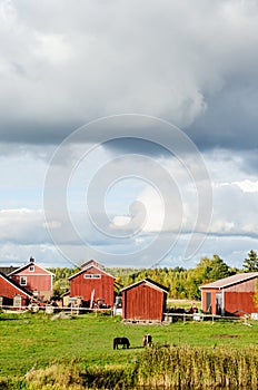 Nordic landscape